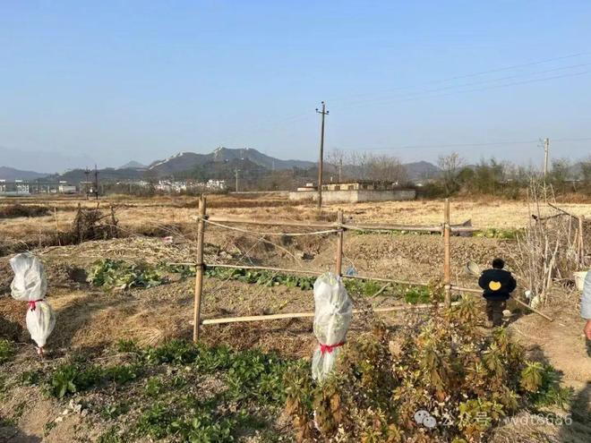 二十六”今日四月二十六今夏三伏热到哭？凯发k8一触即发“三伏热不热就看四月(图3)