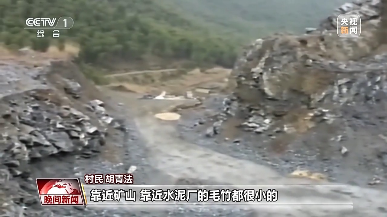 “灰山”变“青山” 老乡村“长”出新业态凯发k8国际娱乐首选看见美丽中国丨20年(图24)